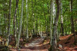 Cluster Foodservice - Gamificación para empresas - Playmotiv